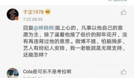 娱乐圈吃瓜ppt,PPT带你领略幕后风云