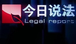 法治频道今日在线观看,实时在线观看精彩法治动态