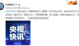 武汉李先生爆料新闻视频,揭秘XX事件背后真相