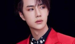 八卦娱乐爆料王一博事件,王一博涉嫌事件真相揭秘！