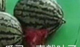 带你吃瓜免费观看,揭秘娱乐圈幕后故事