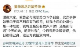 天津爆料唐山打人案视频,现场视频曝光，冲突瞬间引发社会关注