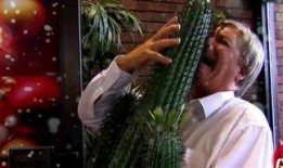 吃瓜网红三太子,吃瓜网红的瓜田传奇