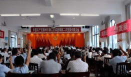 摆烂吃瓜成团宠免费阅读,团宠的逆袭之路