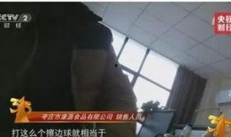 东湖执法学生爆料视频大全