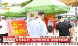 广西田林新闻爆料事件视频,事件视频引发社会关注