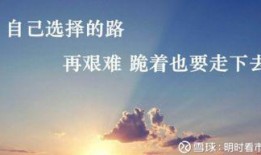 正能量励志视频爆料热线,爆料热线带你走进感动瞬间