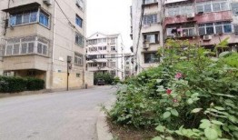 黄桥河滨小区爆料视频最新,揭秘小区动态与居民生活点滴