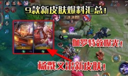 皮肤视频爆料大全最新下载