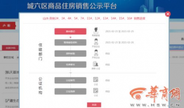 深圳爆料热点事件最新新闻,惊曝重大事件引发社会关注