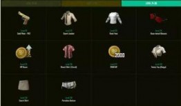 绝地求生通行证最新爆料,揭秘神秘内容与升级系统